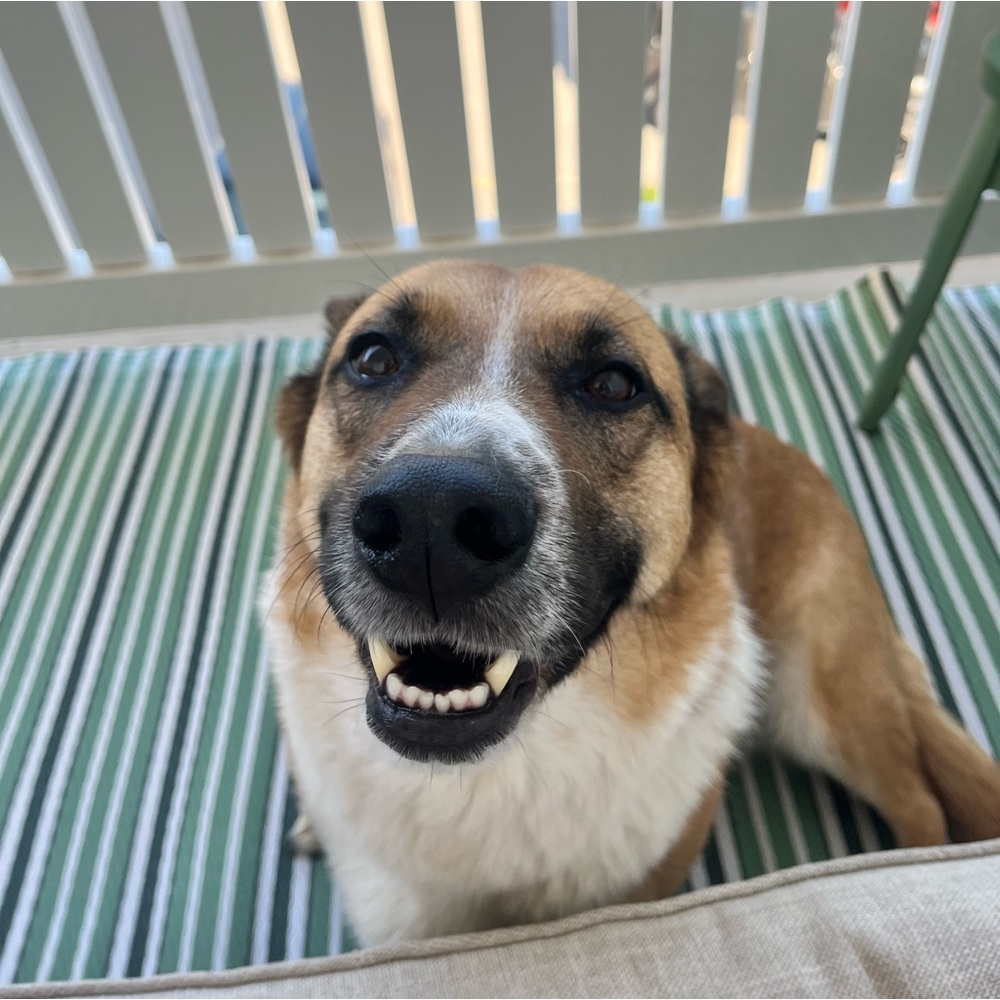 Meet your Posher, Chloe